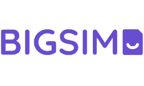 BIGSIM